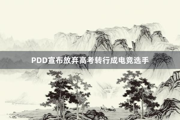 PDD宣布放弃高考转行成电竞选手